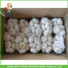 Chinese fresh white garlic 5.0cm 10kg/mesh bag or carton